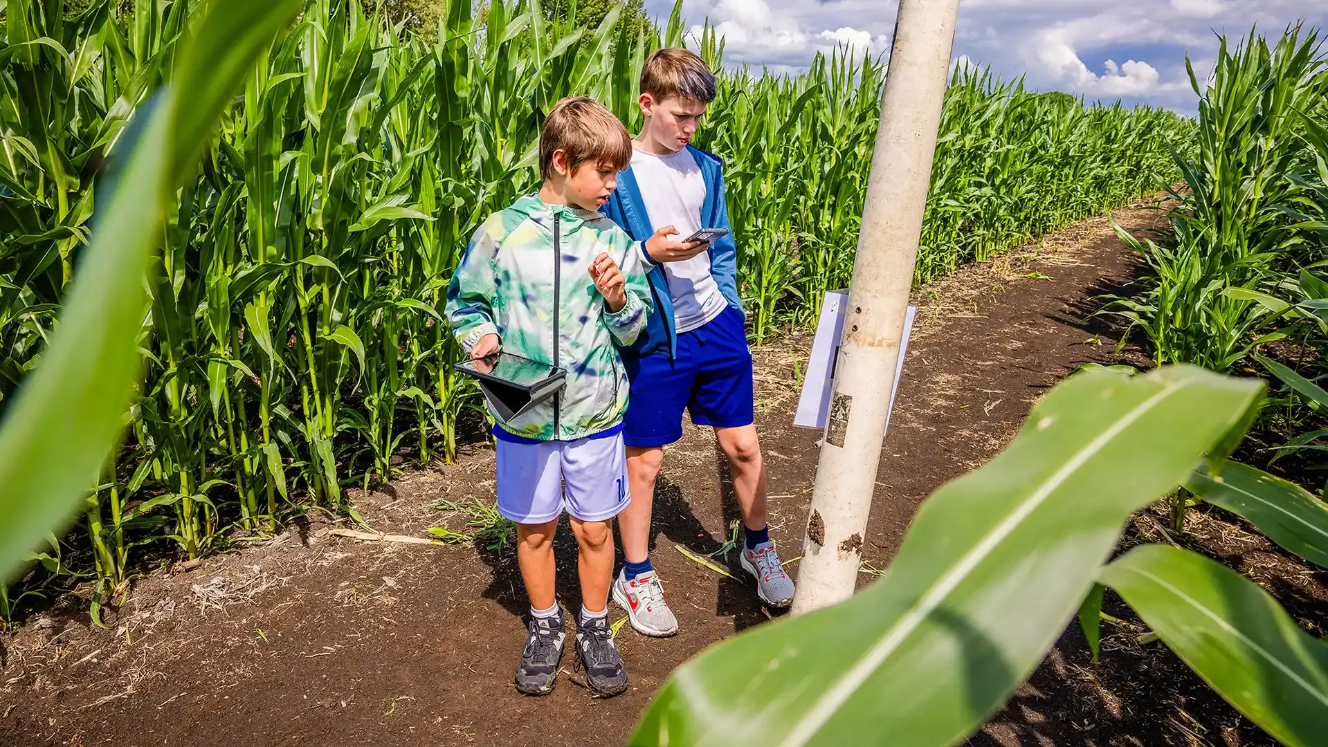 De Waaierij kom aanwaaien in de polder