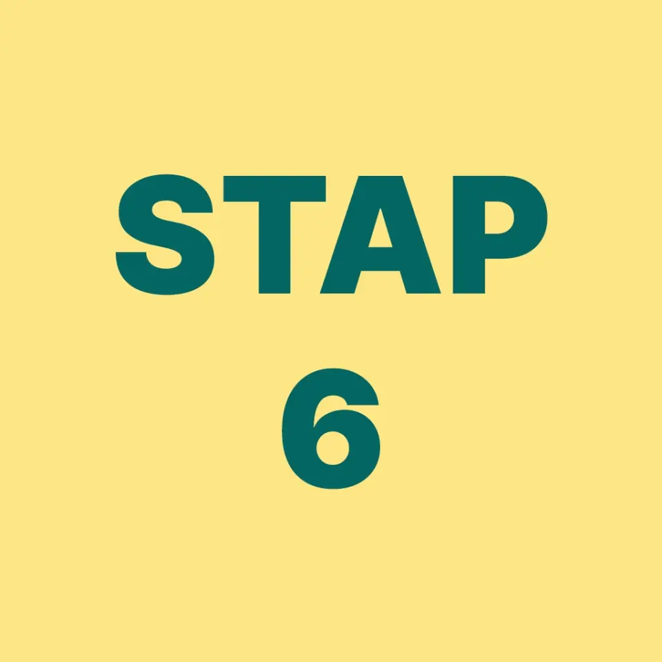 LEADER Weidse Veenweiden stappenplan stap 6