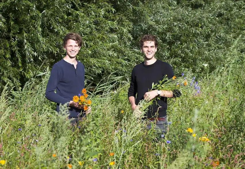 Wilder Land een uniek theekransje